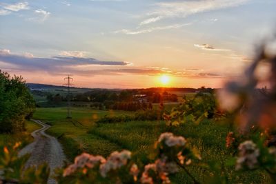 Scenic view of field against sky during sunset