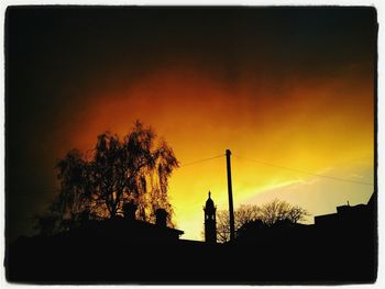 Silhouette of trees at sunset