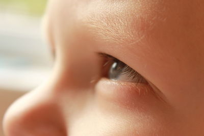 Close-up of human eye