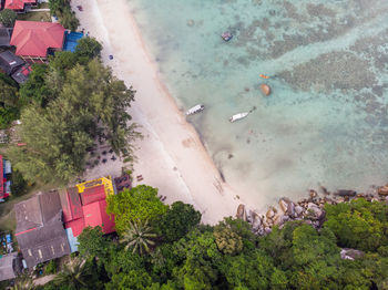 High angle view of trees by sea