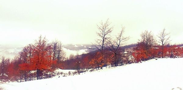 Scenic view of snow covered field