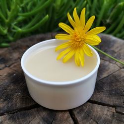 High angle view of yellow flower on table