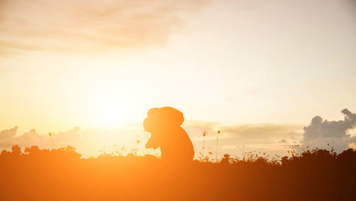 Silhouette man standing on field against sky during sunset