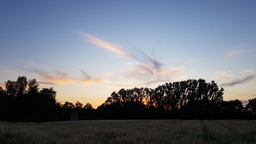 Silhouette trees on field against sky during sunset