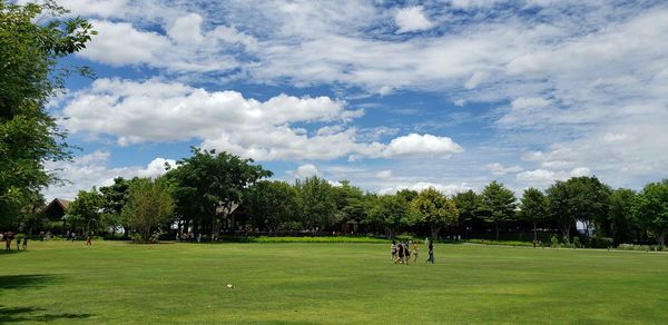 Trees on field against sky