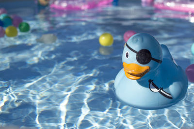 Close-up of blue rubber duck in pool