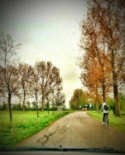 People walking on road