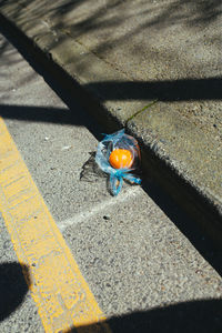 High angle view of orange in plastic bag on street