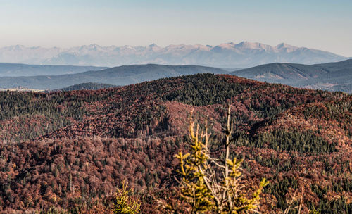 Scenic view of landscape and mountains against sky