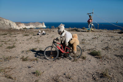 Toys on shore against sky