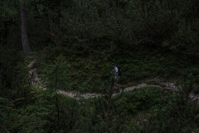 Man walking in forest