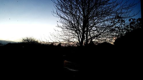 Silhouette bare trees against sky at sunset