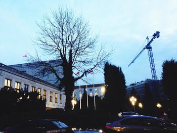 Silhouette of trees and buildings against sky