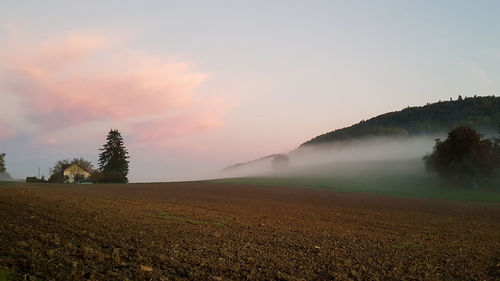 Scenic view of field against sky during sunset