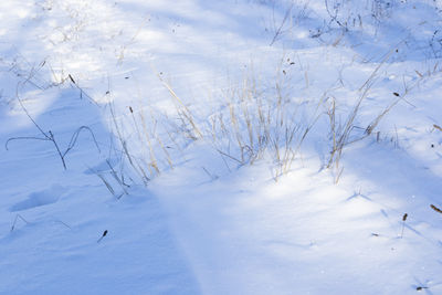 winter