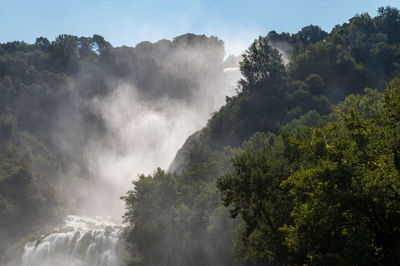 Scenic view of waterfall in forest