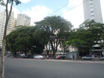 Trees by road in city against clear sky