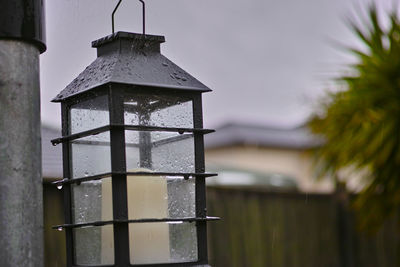 Close-up of lantern hanging by tree against sky