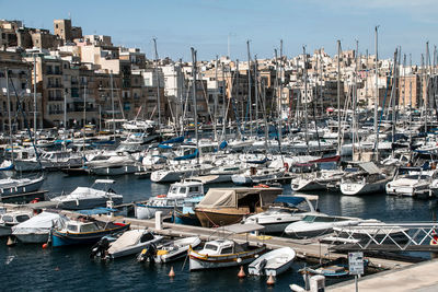 Sailboats moored in harbor