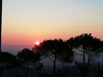 Silhouette trees against sky during sunset