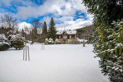 Scenic view of trees against sky