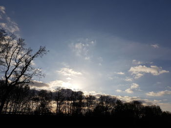 Low angle view of silhouette trees against sky during sunset