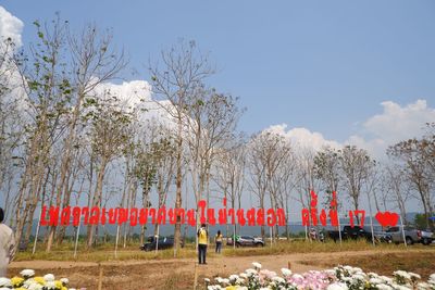 Plants growing on field against sky