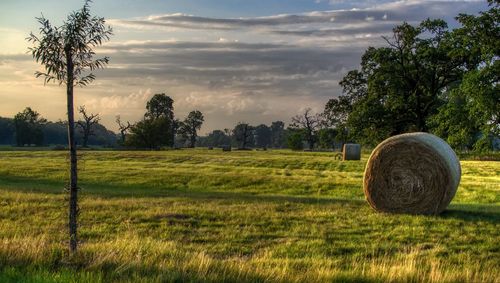 Hay bales on field against sky