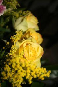 Close-up of yellow rose bouquet