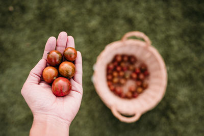 Close-up of hand holding fruits