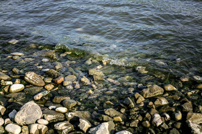 Rocks in sea