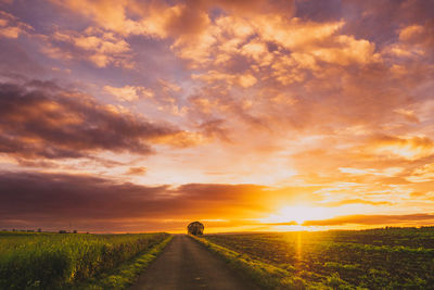 Scenic view of field against sky during sunset