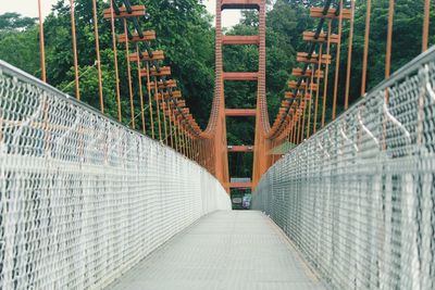 Empty footbridge amidst trees