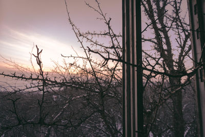 Silhouette bare tree against sky during sunset