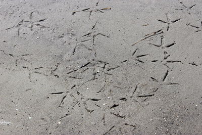 Full frame shot of white wall