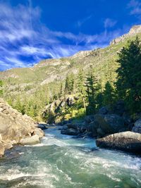 Scenic view of river amidst trees against sky