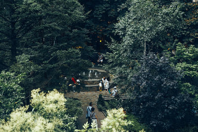 High angle view of people in park