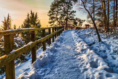 Snow covered field by trees against sky during winter