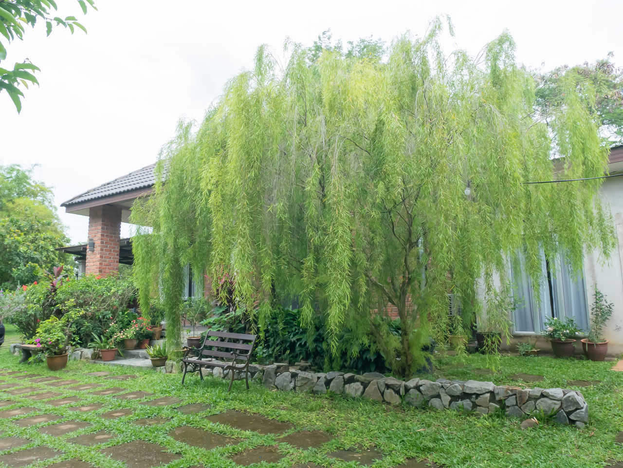 plant, tree, architecture, green, nature, built structure, shrub, building, house, building exterior, willow, no people, growth, front or back yard, grass, garden, residential district, day, sky, outdoors, beauty in nature, yard, flower, formal garden, ornamental garden, lawn, home, environment, tranquility, landscape, mansion