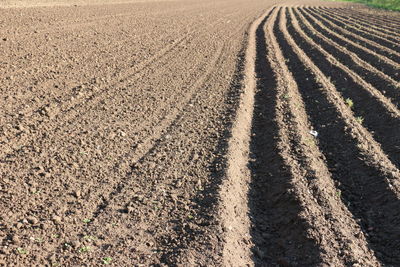 View of agricultural landscape