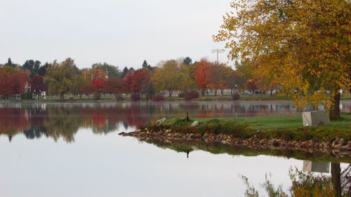 Scenic view of lake by trees against clear sky