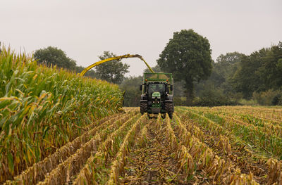Agricultural machinery tractor and chopper during the corn harvest