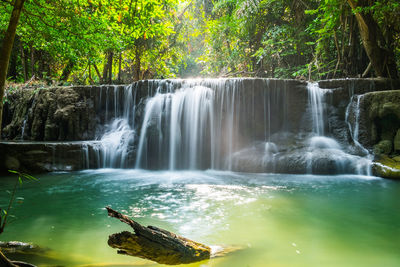 Scenic view of waterfall in forest