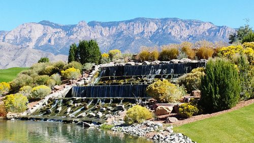 Scenic view of trees and mountains against clear sky