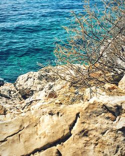 Rocks in sea