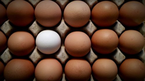 Full frame shot of eggs in crate