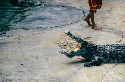 Low section of person with legs in water