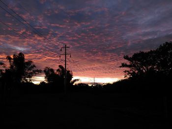 Silhouette of trees at sunset