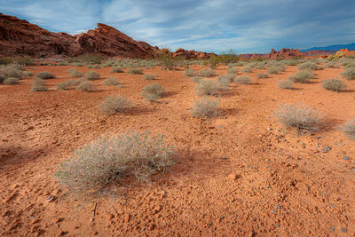 Scenic view of desert against sky