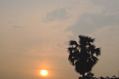 Low angle view of silhouette tree against sky during sunset